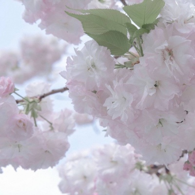 Furry角色动作绘画技巧FurryQQ群